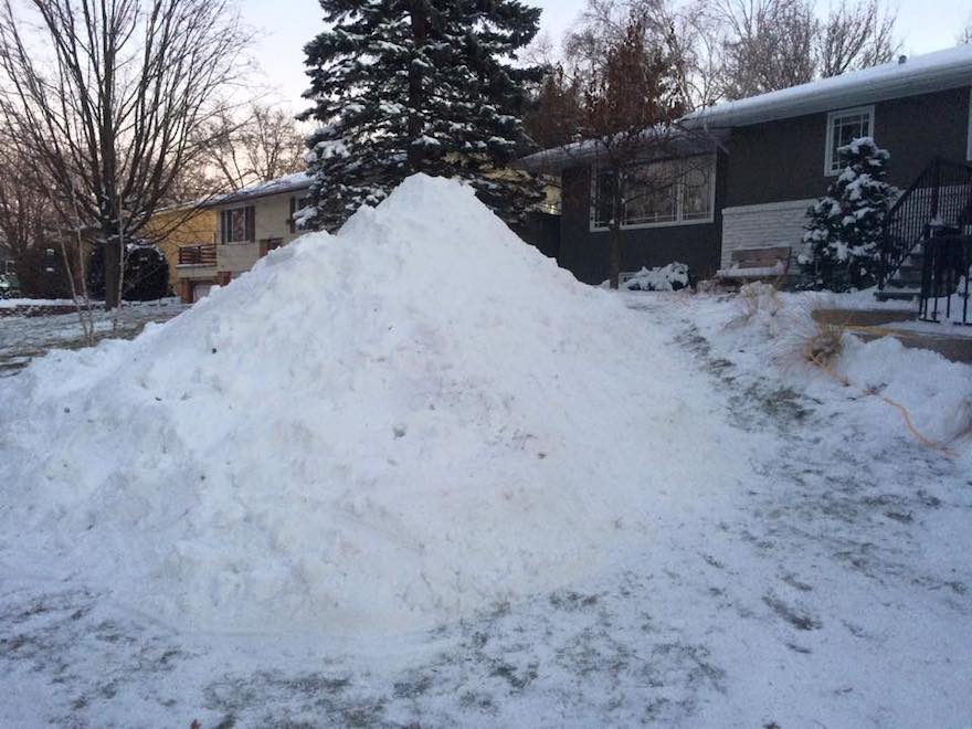 Giant Snow turtle before